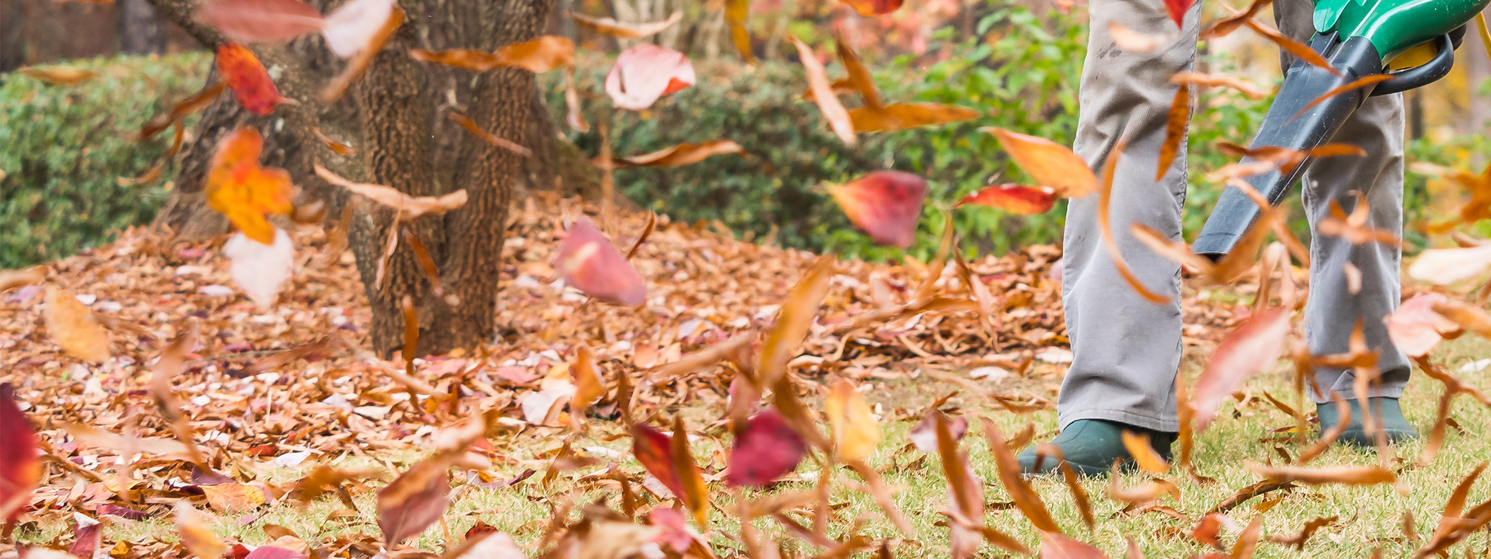 Man blowing leaves