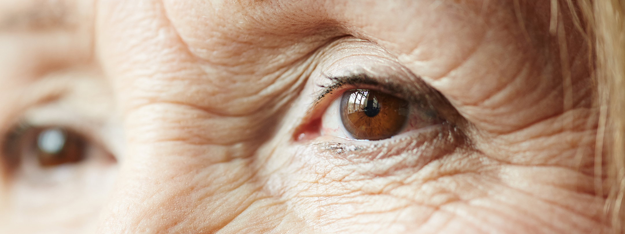 A close up photo of an elderly woman's brown eyes