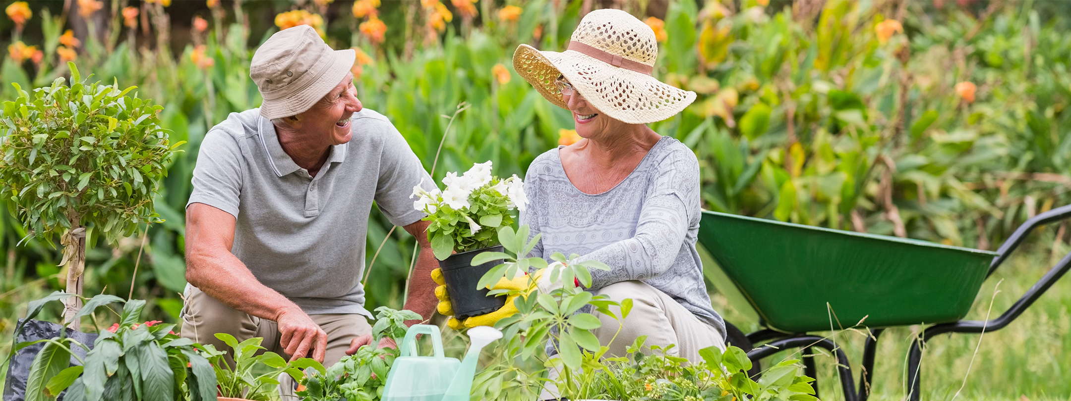 An older couple plants flowers in garden together
