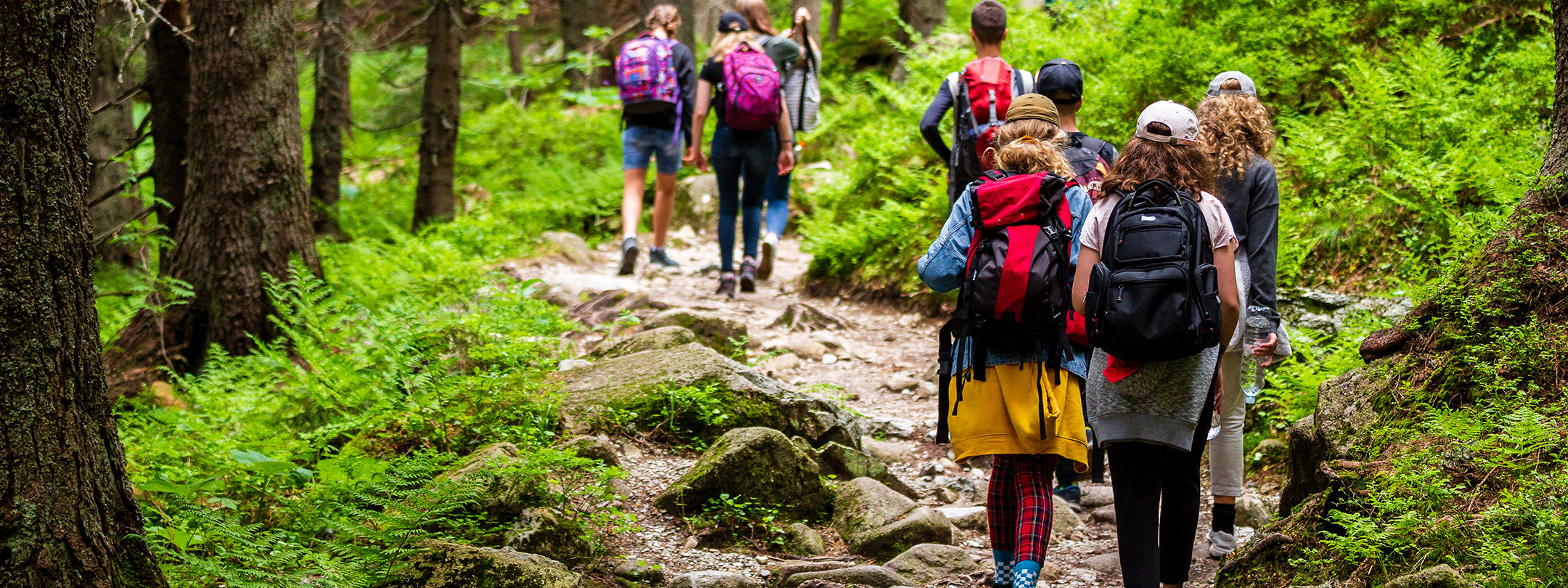 A group of hikers climb a rocky trail