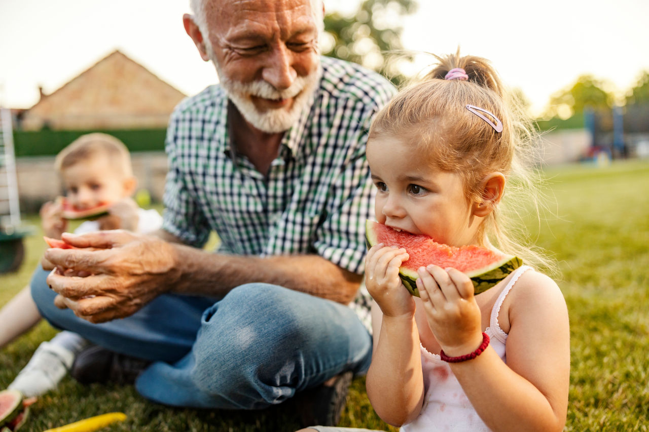 Adorable girl sitting in backyard with sibling and granddad and eating fresh ripe watermelon and enjoying summertime.